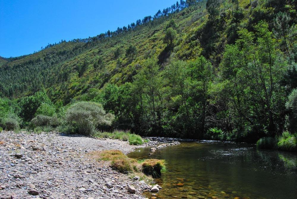 O Pardieiro - Aldeia Da Paradinha Com Praia Fluvial 외부 사진